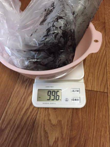 方杭漁港で初春イカ